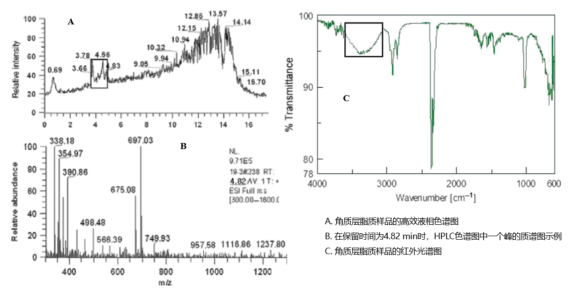 功效評價(jià),新指標(biāo),皮膚表面,脂質(zhì)分析