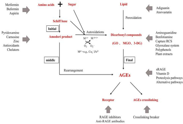 皮膚,抗衰,細(xì)胞,功效評(píng)估,去皺,抗初老,緊致