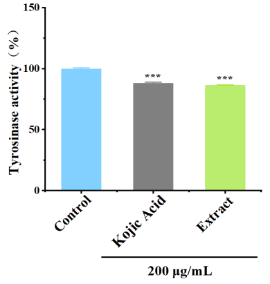 體外細(xì)胞,培養(yǎng),模型,祛斑,美白,功效評估