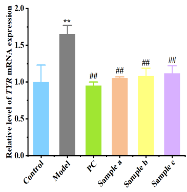 體外細(xì)胞,培養(yǎng),模型,祛斑,美白,功效評估